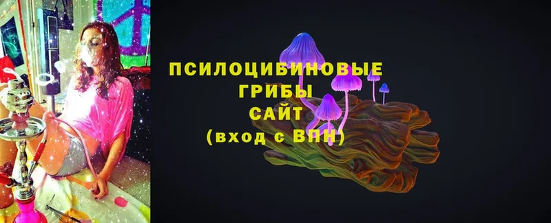 Псилоцибиновые грибы Magic Shrooms  Красный Холм 